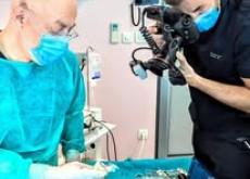 Cekić Dental Practice 2