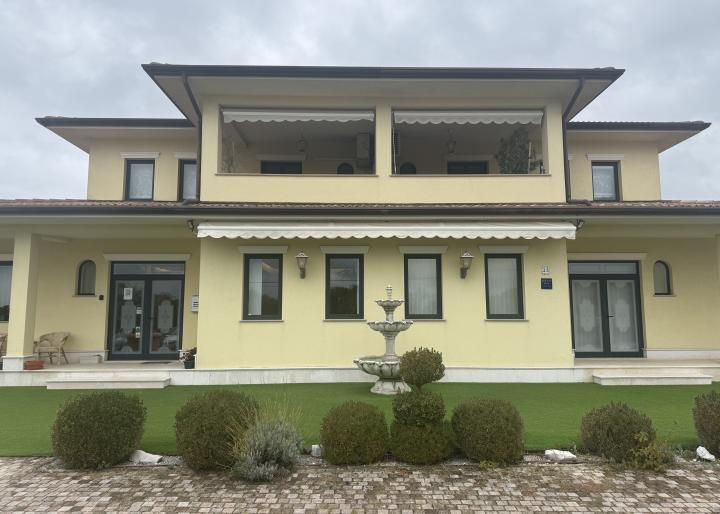 Dental Professionals